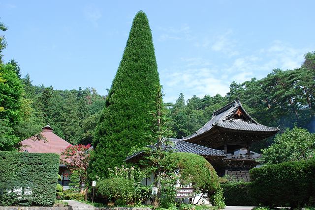 ���₶�̎