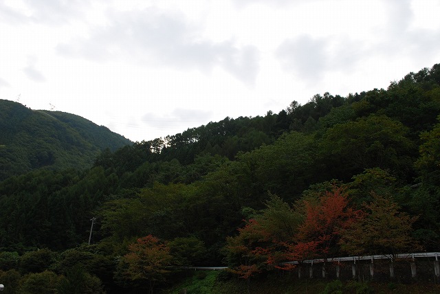 ���₶�̎