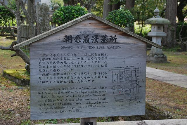 ���₶�̎