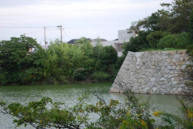 ���₶�̎