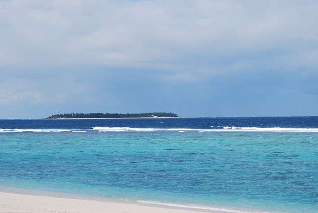 ���₶�̎