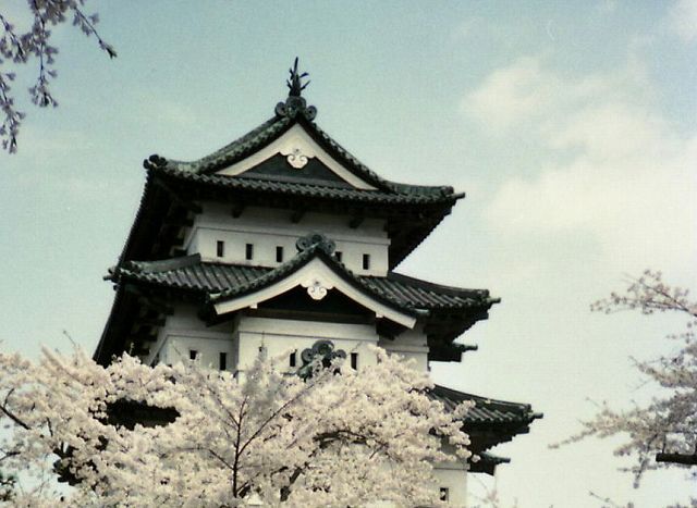 ���₶�̎