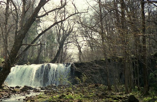 ���₶�̎