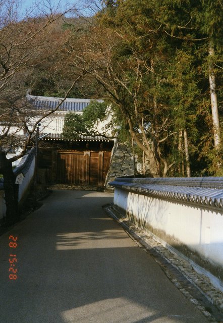 ���₶�̎