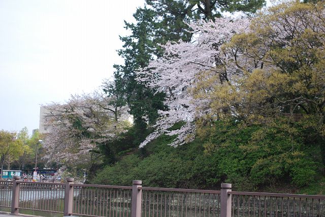 ���₶�̎