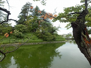 ���₶�̎