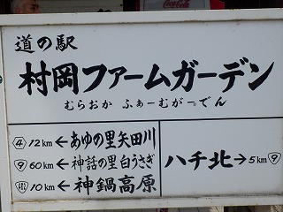 ���₶�̎