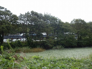 ���₶�̎