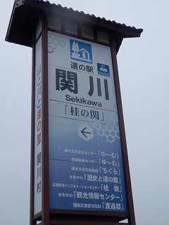 ���₶�̎