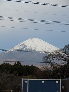 ���₶�̎