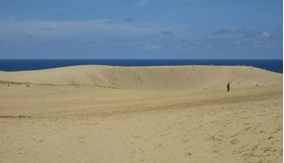 ���₶�̎