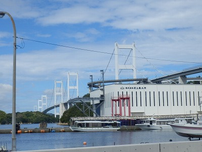 ���₶�̎