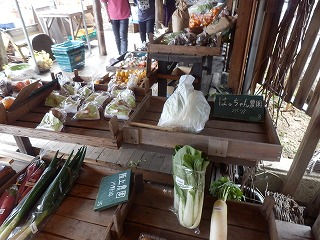 kai_kai_Ext50167.jpg (320×240)
