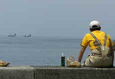 �C���R���̗I�X�ލs�L