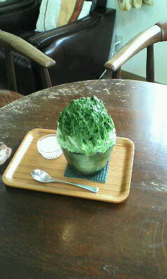 �����ߐ����@�@����  -��ʎ��́E�e��ی���舵��-