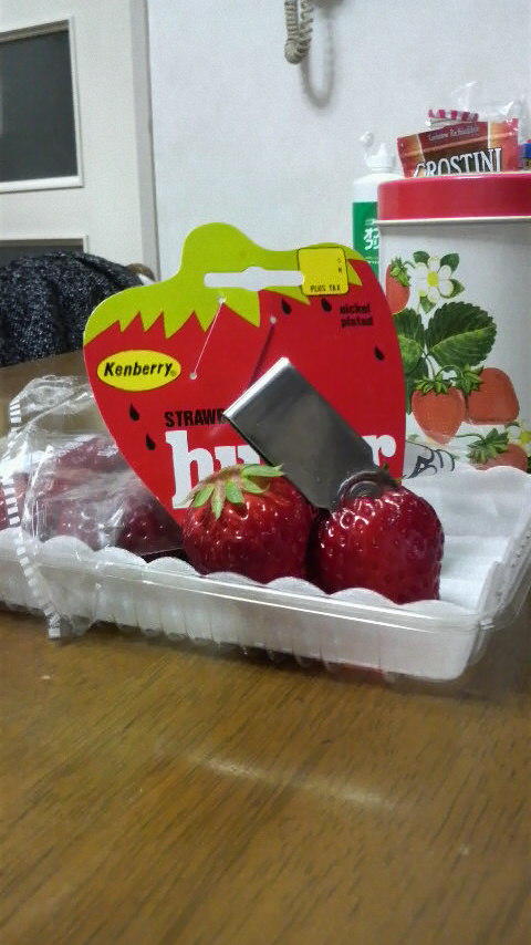 �����ߐ����@�@����  -��ʎ��́E�e��ی���舵��-