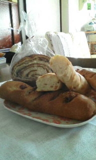 �����ߐ����@�@����  -��ʎ��́E�e��ی���舵��-