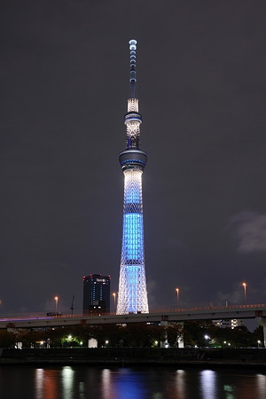 �����ߐ����@�@����  -��ʎ��́E�e��ی���舵��-