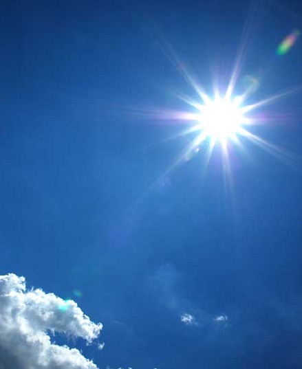 �����ߐ����@�@����  -��ʎ��́E�e��ی���舵��-