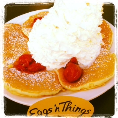 �����ߐ����@�@����  -��ʎ��́E�e��ی���舵��-