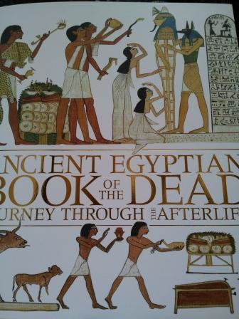 �����ߐ����@�@����  -��ʎ��́E�e��ی���舵��-