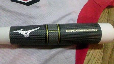 �����ߐ����@�@����  -��ʎ��́E�e��ی���舵��-