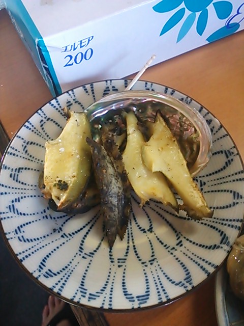 �����ߐ����@�@����  -��ʎ��́E�e��ی���舵��-