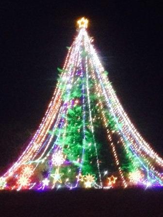 �����ߐ����@�@����  -��ʎ��́E�e��ی���舵��-