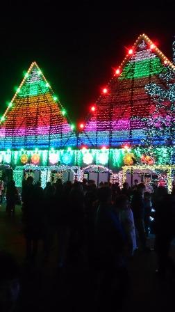 �����ߐ����@�@����  -��ʎ��́E�e��ی���舵��-