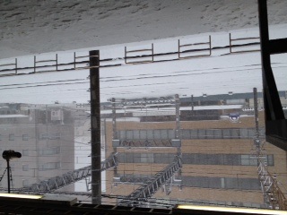 �����ߐ����@�@����  -��ʎ��́E�e��ی���舵��-