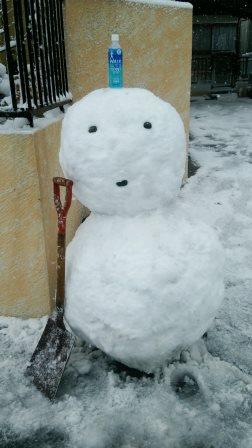 �����ߐ����@�@����  -��ʎ��́E�e��ی���舵��-