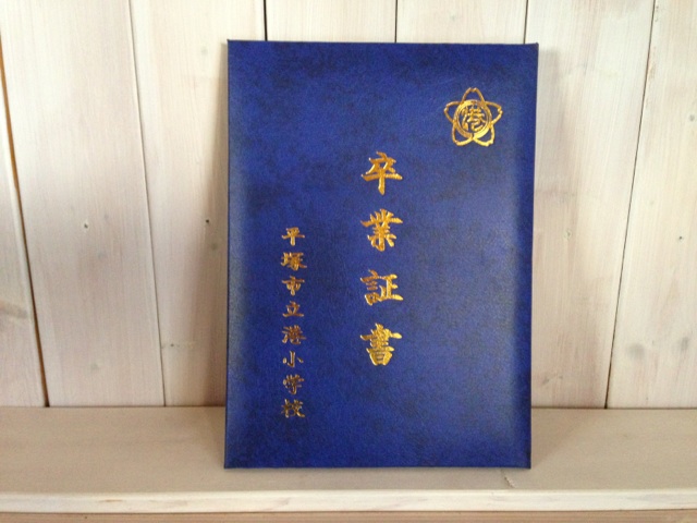 �����ߐ����@�@����  -��ʎ��́E�e��ی���舵��-