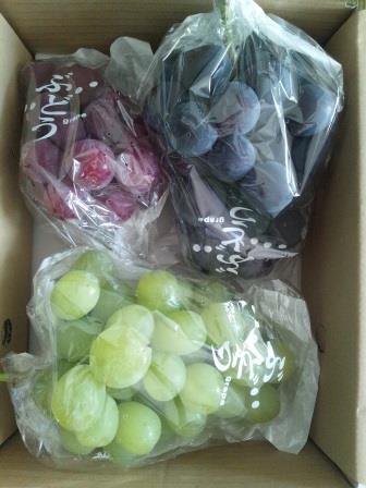 �����ߐ����@�@����  -��ʎ��́E�e��ی���舵��-