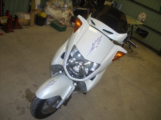 �s���X�g���C�v�@��MSY�@Free�@Hand���@�_�ސ쌧���ˎs