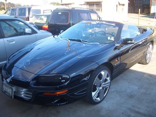 �s���X�g���C�v�@��MSY�@Free�@Hand���@�_�ސ쌧���ˎs