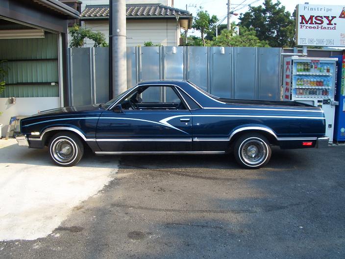 �s���X�g���C�v�@��MSY�@Free�@Hand���@�_�ސ쌧���ˎs