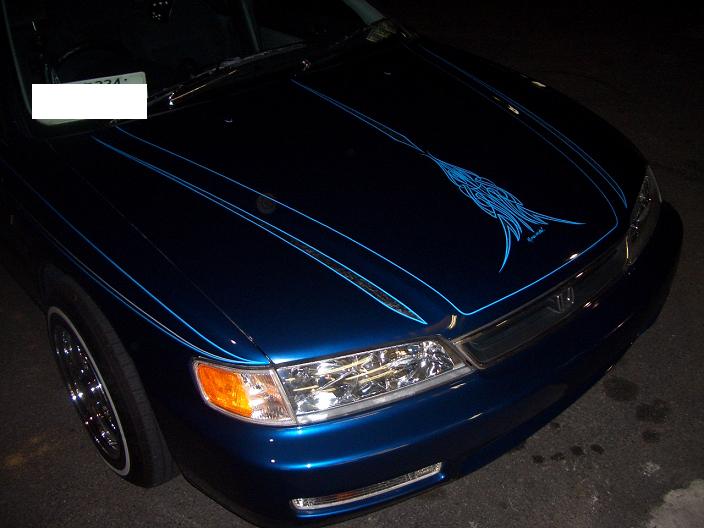 �s���X�g���C�v�@��MSY�@Free�@Hand���@�_�ސ쌧���ˎs