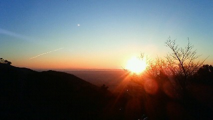 �X�|�b�g���C�g��