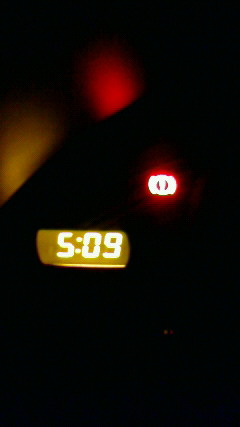 �X�|�b�g���C�g��