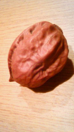 �X�|�b�g���C�g��