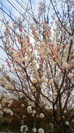 �X�|�b�g���C�g��