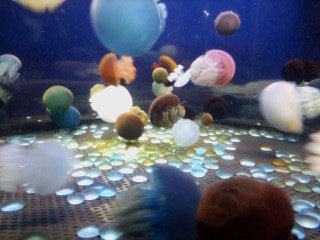 �X�|�b�g���C�g��