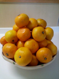 �X�|�b�g���C�g��