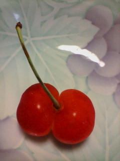 �X�|�b�g���C�g��