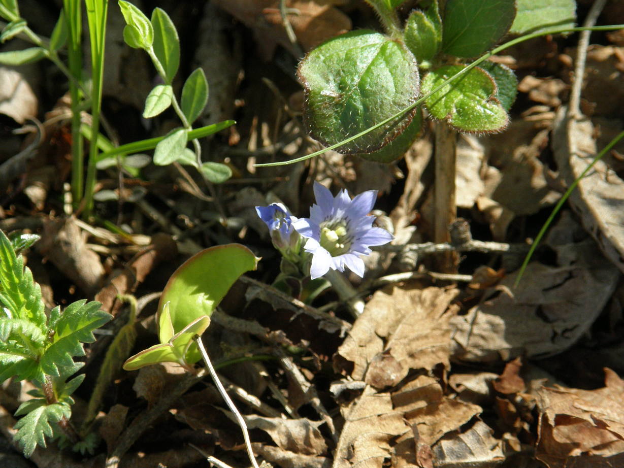 ���������C�ł�