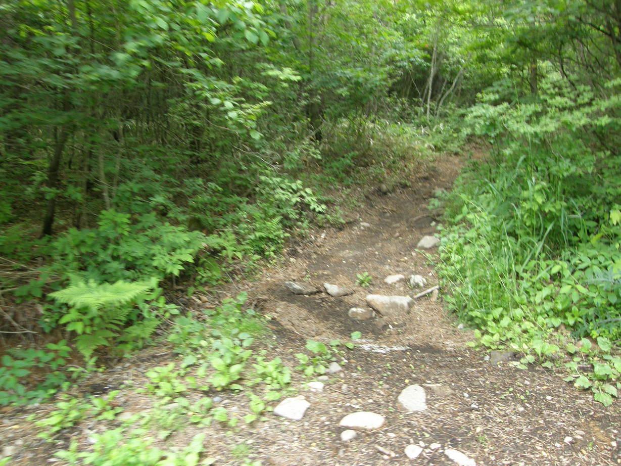 ���������C�ł�