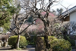 ���������C�ł�