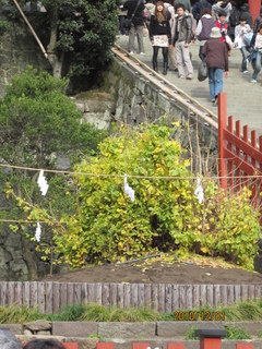 ���������C�ł�