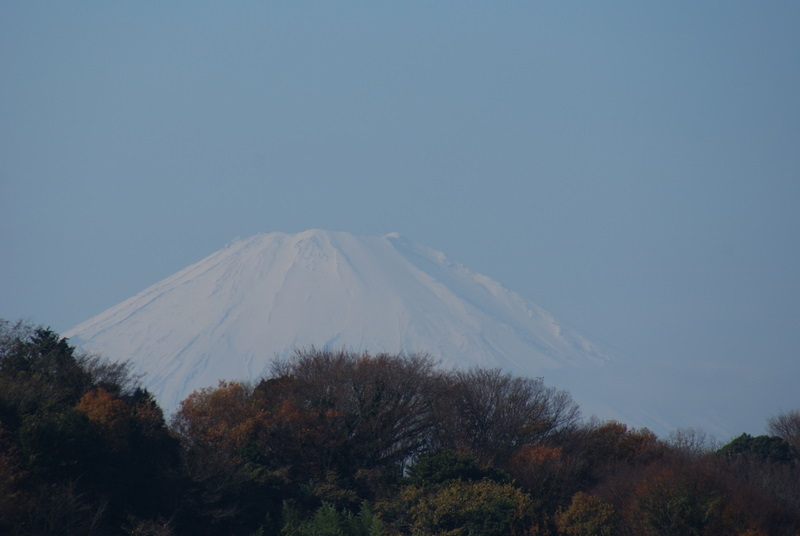 ���������C�ł�