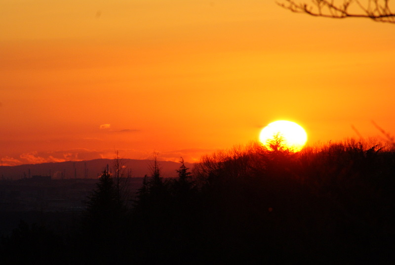 ���������C�ł�